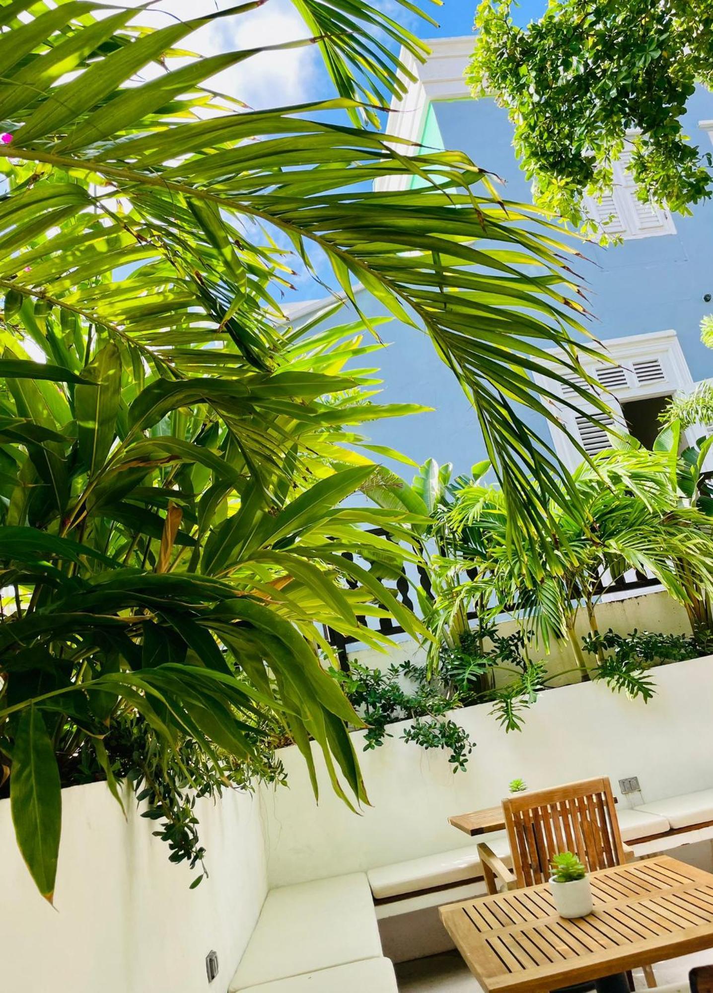 Atelier Skalo Boutique Hotel Willemstad Exteriör bild